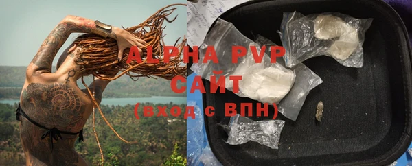 не бодяженный Бородино